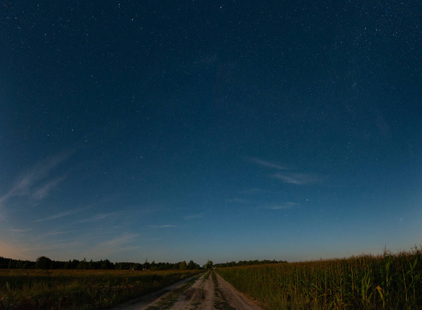 Starry sky over the road in the field - Photo, image