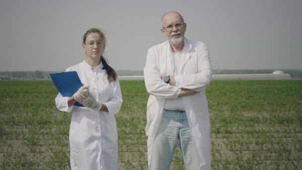 Agronomy scientists in the field - Footage, Video