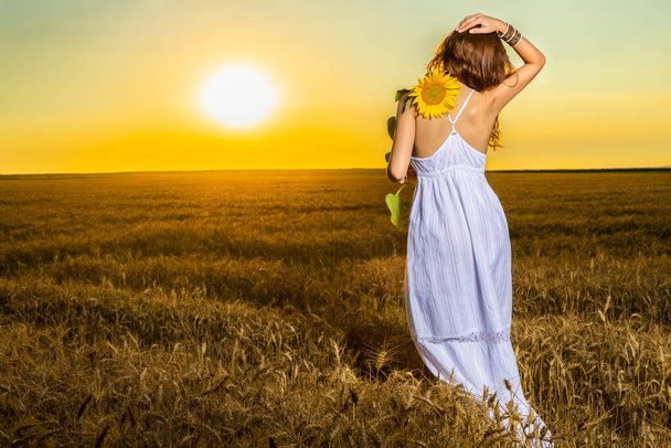 Krásná žena v bílých šatech v pšeničném poli se slunečnicovým květem při západu slunce. - Fotografie, Obrázek