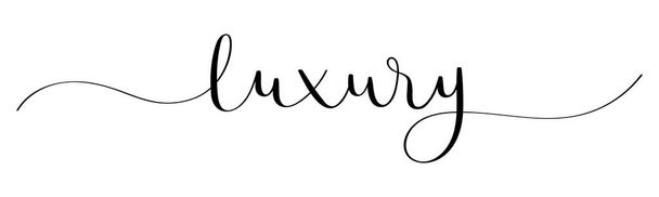 LUXURY black vector brush calligraphy banner with swashes - Vector, Image