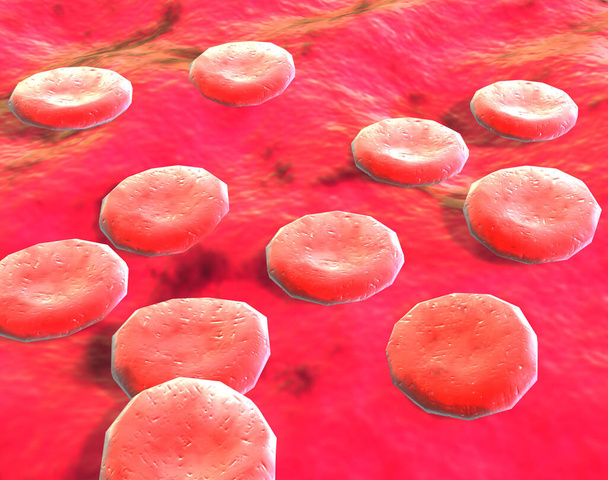 red blood cells swim in the vein - Photo, Image
