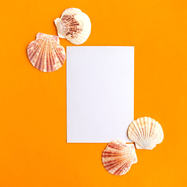 maqueta blanca en blanco y conchas marinas sobre fondo naranja, vista superior. Concepto vacaciones de verano - Foto, Imagen