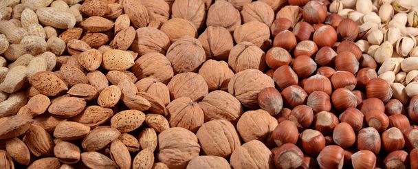 Assorted nuts background - Photo, image