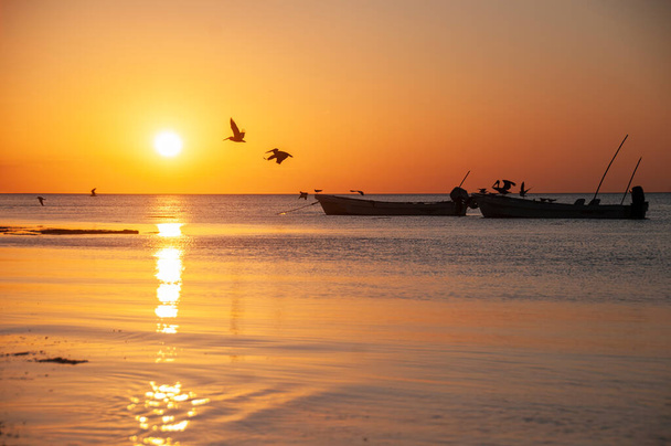 Pelicans volare al tramonto sul Mar dei Caraibi di Holbox Island, Messico Sullo sfondo barche da pesca ormeggiate e il riflesso del sole sul mare tranquillo. Luogo ideale per rilassarsi a contatto con la natura - Foto, immagini