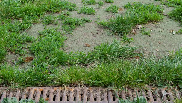 Фон старої іржавої металевої дренажної сітки біля трави
 - Фото, зображення