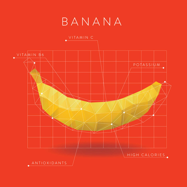 Infographic of a banana stylized vector illustration - Vettoriali, immagini