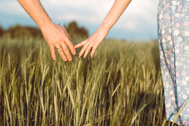 Το χέρι ενός άντρα και το χέρι μιας γυναίκας μαζί σε ένα χωράφι με σιτάρι. Συγκομιδή, τρόπος ζωής, η έννοια της οικογένειας. Ι - Φωτογραφία, εικόνα