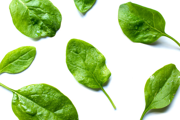 Fresh spinach leaves isolated on white background. - 写真・画像