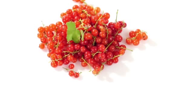 Ripe tasty berries of red currant on a white plate on a white background. - Footage, Video