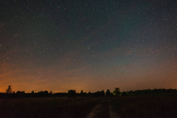 Starry sky over the road in the field - Fotoğraf, Görsel