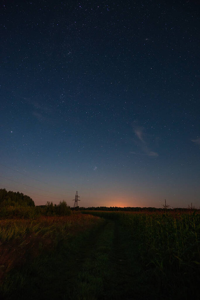 Starry sky over the road in the field - Valokuva, kuva