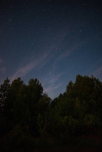 Starry sky over the forest summer night - Фото, изображение
