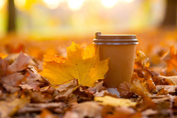 Spazieren Sie mit einer Tasse heißen Kakaos durch den herbstlichen Park. Craft-Tasse Kaffee unterwegs mit gelbem Laub. - Foto, Bild