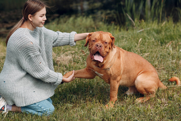 Dogue de Bordeaux або French Mastiff дає лапу молодій жінці на відкритому парку - Фото, зображення