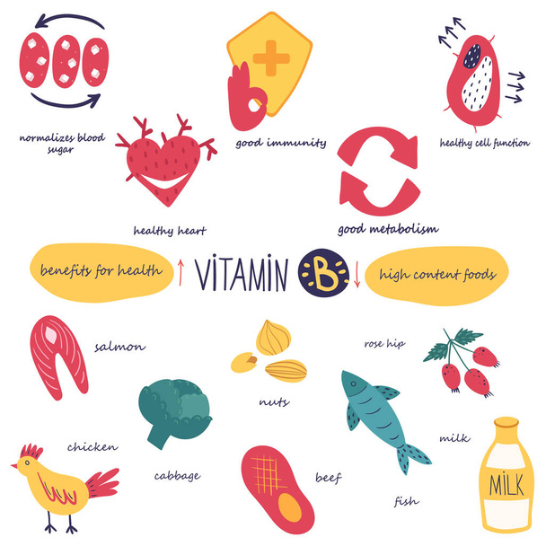 Vorteile von Vitamin B. Lebensmittel reich an Vitamin B. Medizinische Plakatvorlage. Vektorillustration auf weißem Hintergrund. - Vektor, Bild