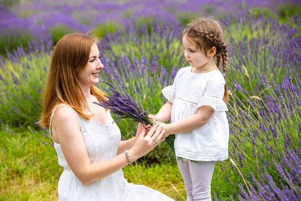 Mother walks with her little daugher holding a bouquet of lavander in Czech republic - Foto, immagini