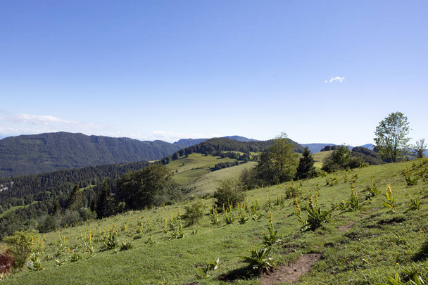 Piękny widok na góry Jura, zielone łąki i las panorama. Idylla szwajcarski krajobraz wsi z niebieskim niebem. Naturpark Thal. - Zdjęcie, obraz