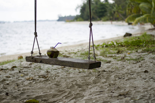 fresh natural organic coconut on a swing, Koh Samui island - Photo, Image