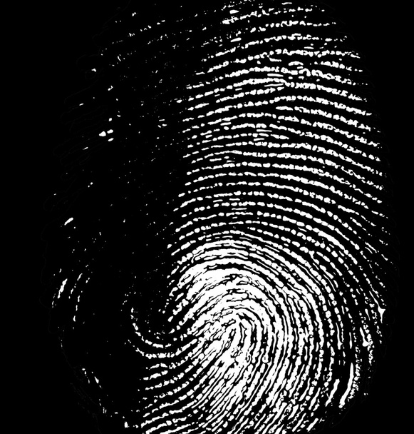 Fingerprint - Photo, Image