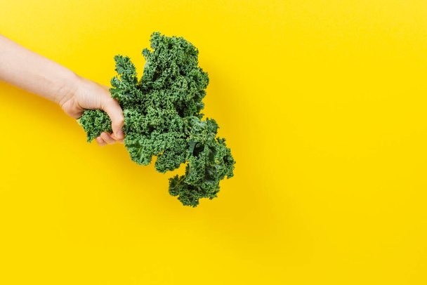 Hand holding a bunch of kale leaves over yellow background - Photo, Image
