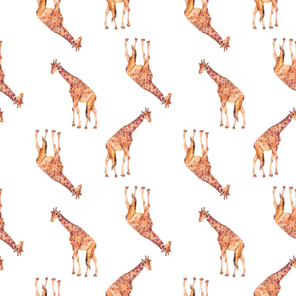 Giraffe watercolor seamless pattern on white background. Jungle animals wallpaper. - Foto, afbeelding