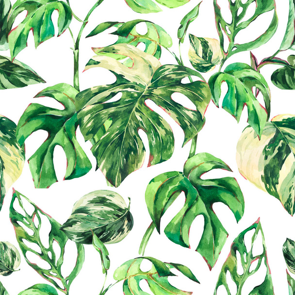 Aquarela Monstera Variegated botânico sem costura padrão, tropical verão folhas verdes papel de parede no fundo branco
. - Foto, Imagem