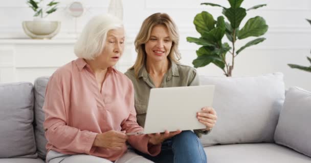 美しい白人の大人の娘は、古い白髪の母親にラップトップで何かを示し、それを議論します。年齢の異なる女性がソファに座って、自宅でコンピュータを使用しています。先輩女性の話. - 映像、動画