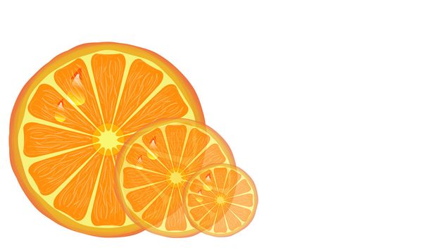 Orange slices. - Vecteur, image