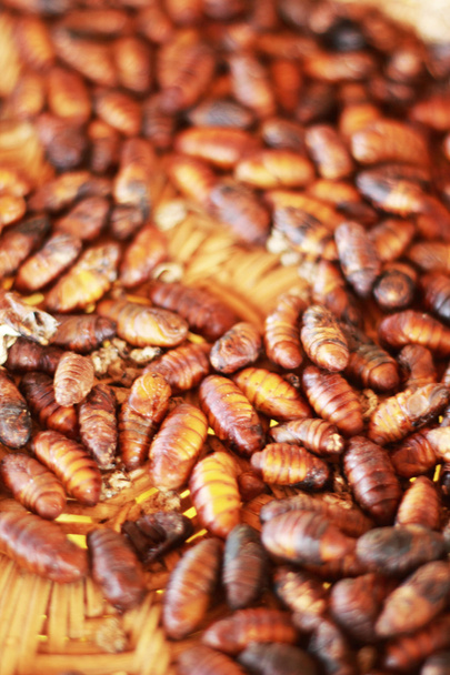 жареные шелковые черви на рынке
 - Фото, изображение