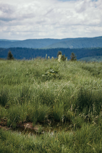 Un letrero en un campo de hierba
 - Foto, imagen