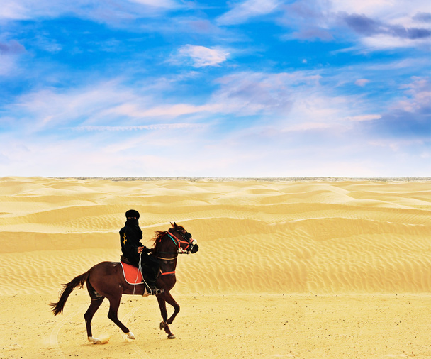 Beduin na koniu - Zdjęcie, obraz
