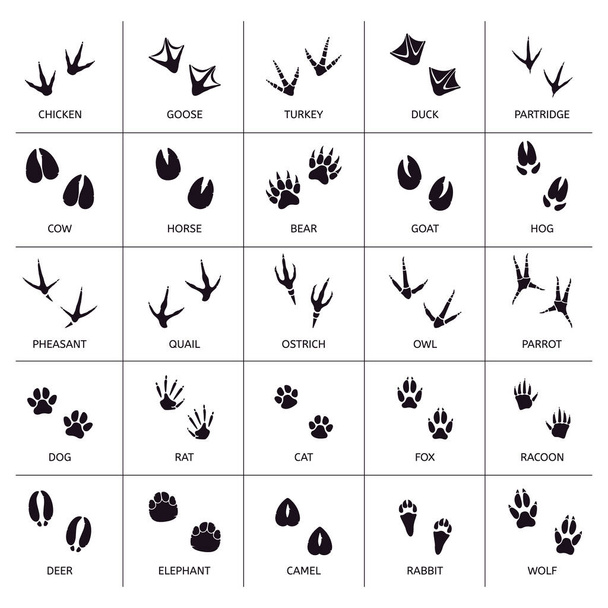 Σημάδια από πόδια ζώων. Ζωικό αποτύπωμα, τα ζώα πατούν σιλουέτες, αρκούδα, γάτα, λύκος και κουνέλι βήματα πόδι διάνυσμα εικονογράφηση σύνολο - Διάνυσμα, εικόνα