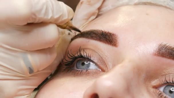 Een speciale naald tattoo machine maakt permanente make-up correctie van een jonge vrouwen wenkbrauwen. Onder de huid wordt een pigment van donkere verf geïnjecteerd. Microblading, poedersprayen van dichtbij - Video