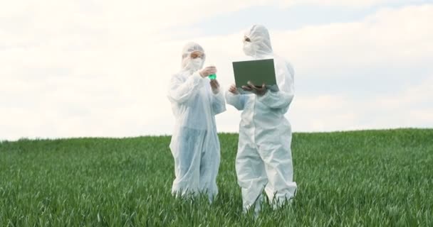 Mulher agricultora branca pesquisadora segurando tubo de ensaio com produtos químicos pesticidas e pesquisadora masculina com computador portátil em campo verde. Biólogos colegas de genética trabalhando ao ar livre em margem de trigo
. - Filmagem, Vídeo