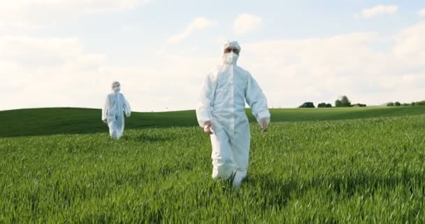 Caucasian male farmers ecologists in white protective costumes and goggles walking in green field in summer. Men scientists and biologists strolling the margin with eco harvest. - Footage, Video