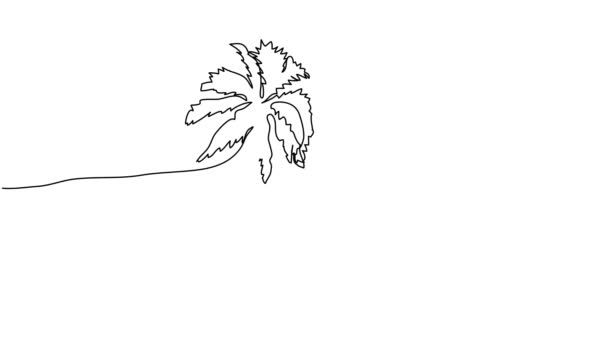 Self drawing animation of continuous one line drawing of palm trees on a beach and a boat - Séquence, vidéo
