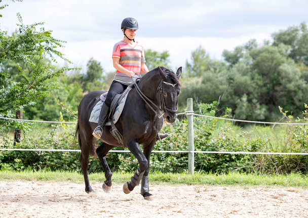  ratsastustyttö treenaa hevosensa ratsastuskeskuksessa - Valokuva, kuva