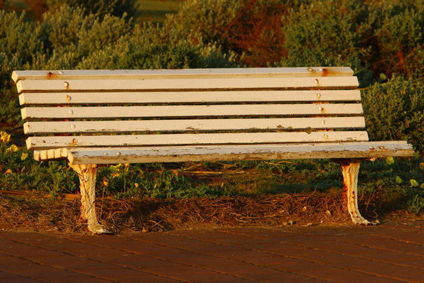 turistická lavička stojí v městském parku na břehu Středozemního moře v severním Izraeli  - Fotografie, Obrázek