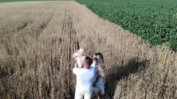 Gelukkig jong gezin heeft plezier en speelt met hun baby tussen het gele tarweveld. Schieten met drone. - Video