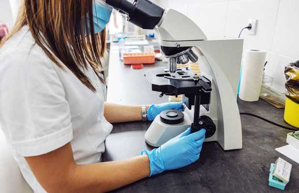 Assistente de laboratório sentado em laboratório e usando microscópio para verificar a amostra de sangue se é covid-19 positivo
. - Foto, Imagem