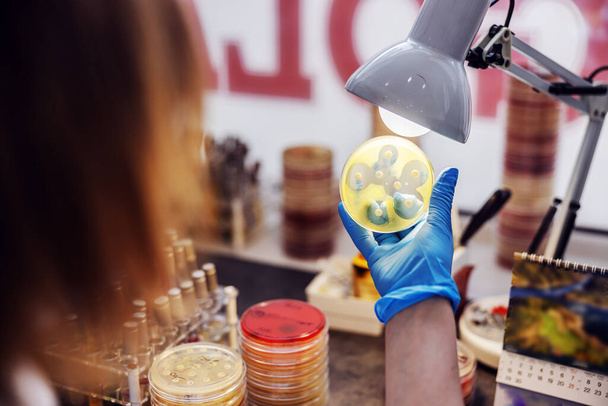 Laborasszisztens ül a laboratóriumban, és ellenőrzi a baktériumok Petri edények. - Fotó, kép