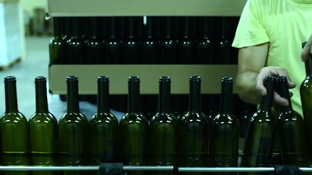 Şarap fabrikasında şarap şişeleri taşıyan taşıyıcı. Beyaz şarap üretimi, şişe paleti - Video, Çekim