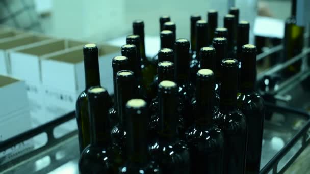 przenośnik z butelkami wina w fabryce wina. produkcja wina białego, butelkowanie wina - Materiał filmowy, wideo