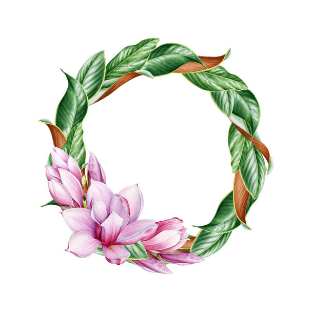 Magnolia vaaleanpunainen kukka seppele höyhenillä ja jättää vesiväri kuva. Tarjous kevät kukka nuppu ja vihreä lehti pyöreä. Käsin piirretty kutsukortti elementti täysi kukinta magnolia kukka - Valokuva, kuva