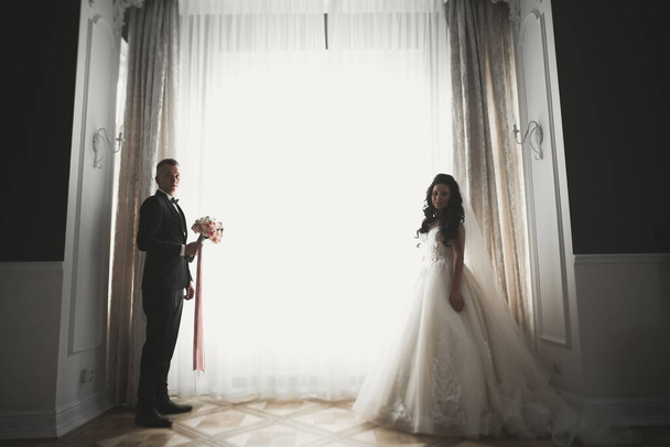 Perfect couple bride, groom posing and kissing in their wedding day - Foto, Imagen