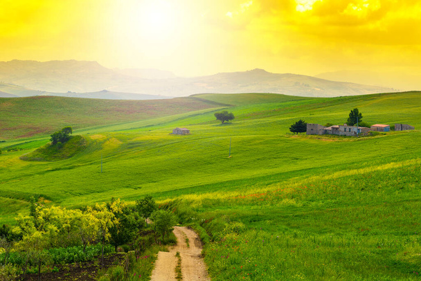 Sycylijski krajobraz o wschodzie słońca, wzgórza, pola, kwiaty, pastwiska i światło słoneczne - Zdjęcie, obraz