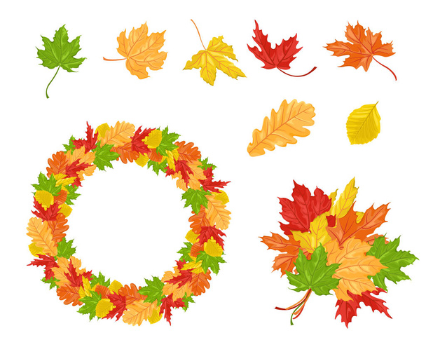 Sokszínű őszi levelek, koszorú és csokor elszigetelt fehér háttér. Vektor illusztráció rajzfilm lapos stílusban. - Vektor, kép