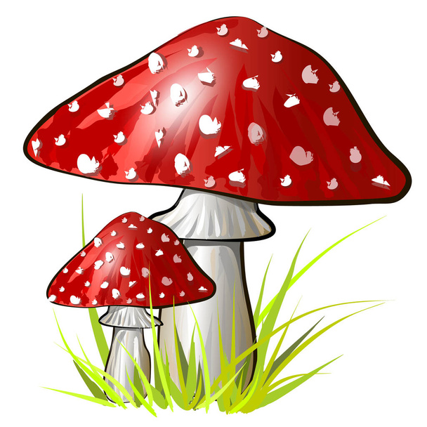 Dois desenhos animados amanita cogumelo. Ilustração colorida vetorial
 - Vetor, Imagem