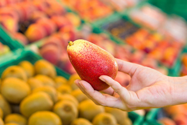 Woman hand choosing mango at supermarket. Concept of healthy food, bio, vegetarian, diet. - Fotó, kép