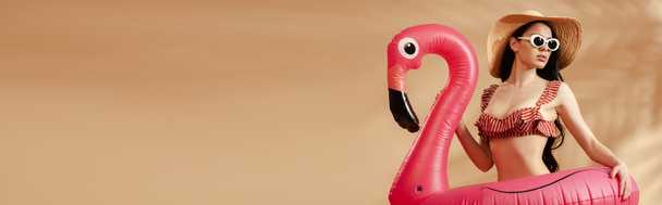 mulher morena sexy em maiô listrado, óculos de sol e chapéu de palha com flamingo inflável no fundo bege, tiro panorâmico
 - Foto, Imagem